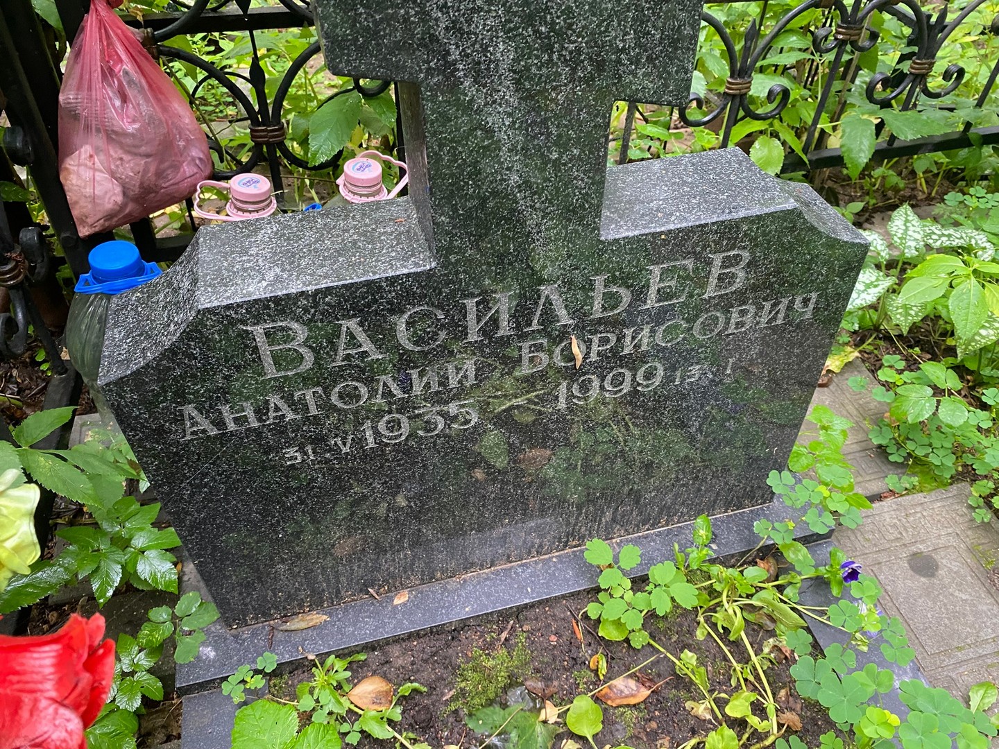 Васильев