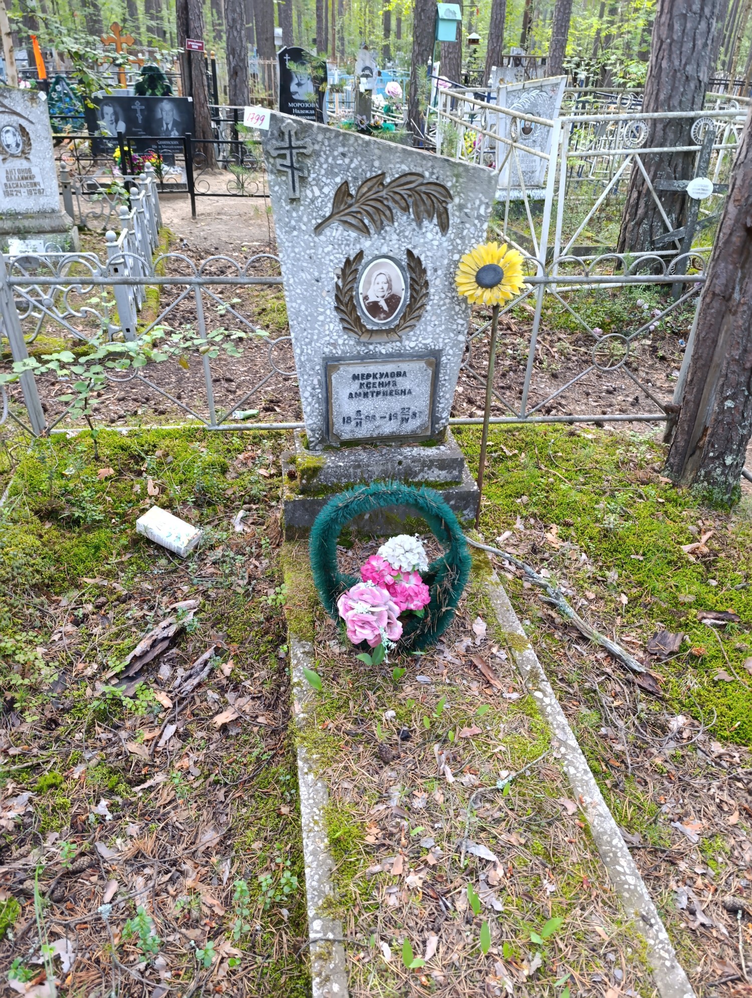 Меркулова Ксения Дмитриевна