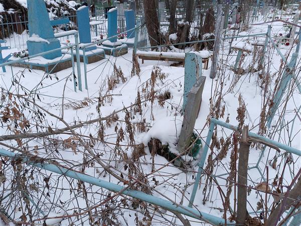 Шаклеин Алексей Степанович
