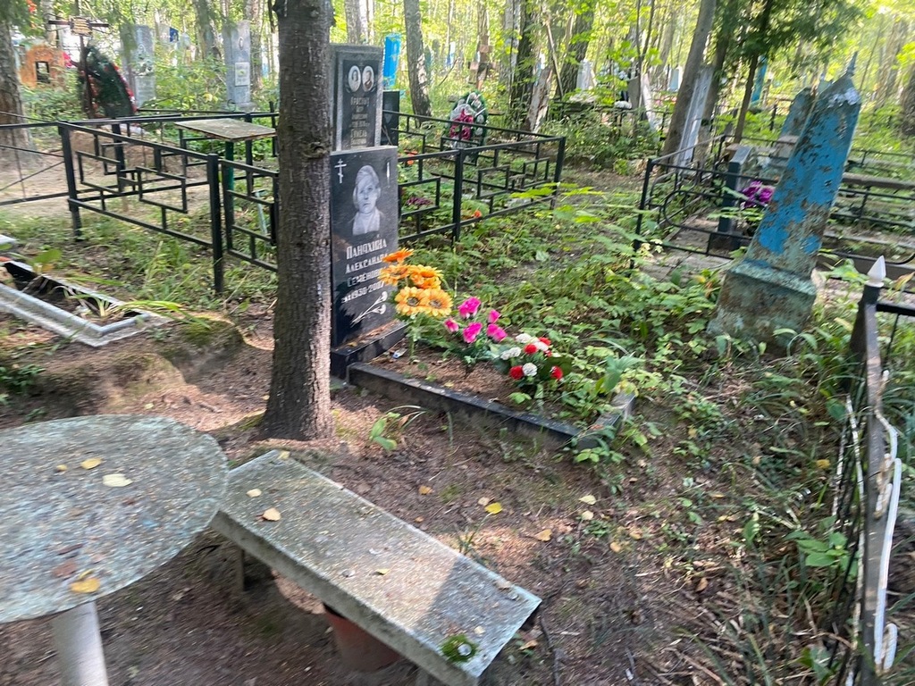 Паняхина Александра Семеновна