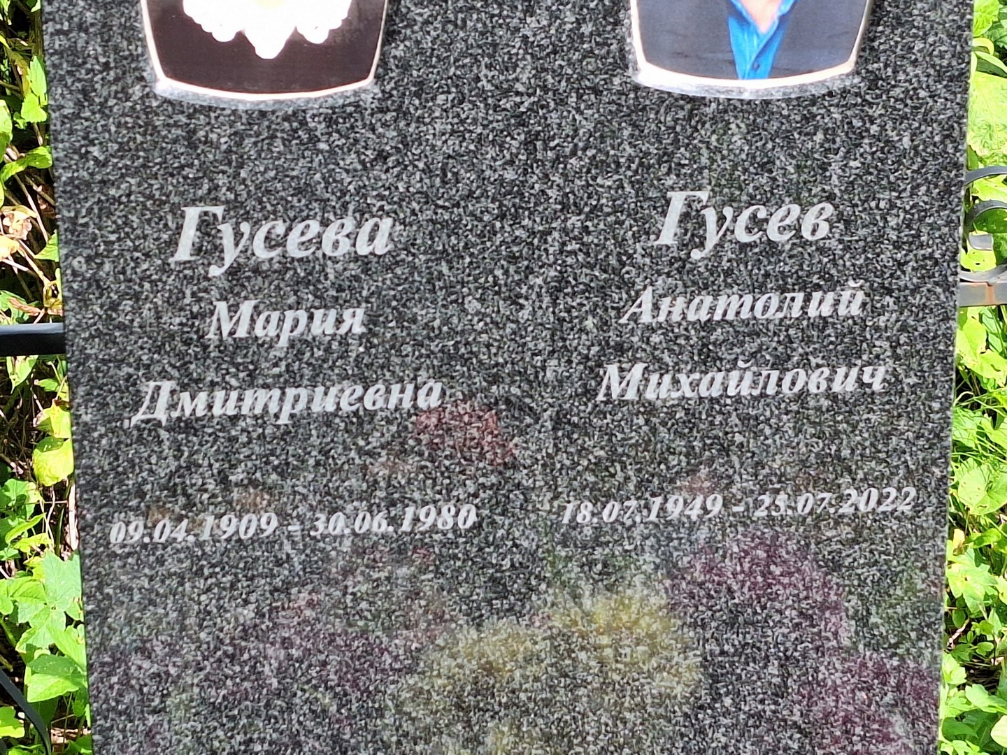 Гусев