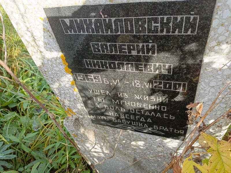 Михайловский