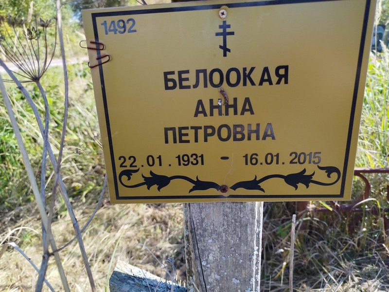 Белоокая