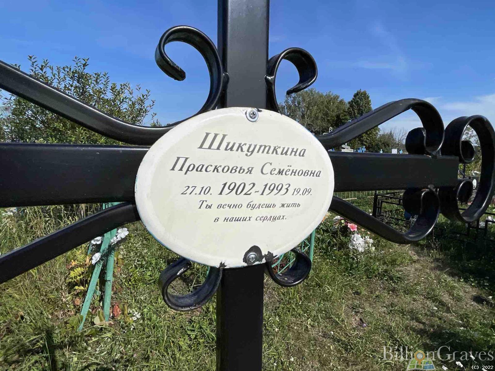 Шикуткина Прасковья Семеновна