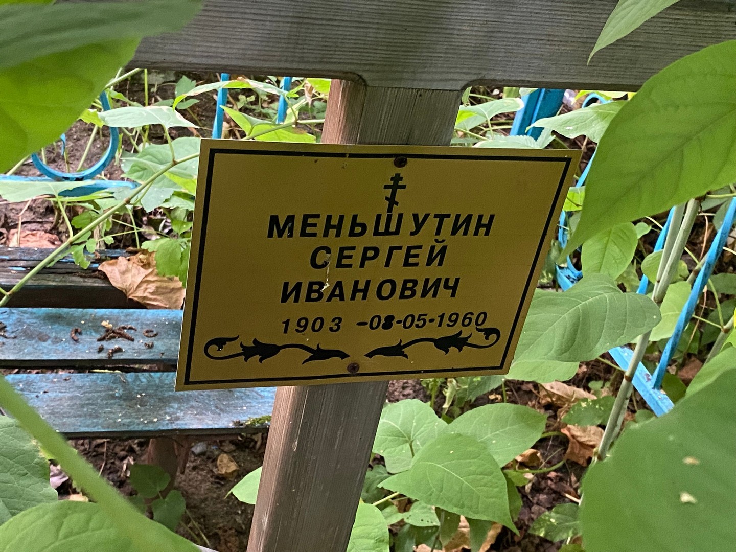 Меньшутин