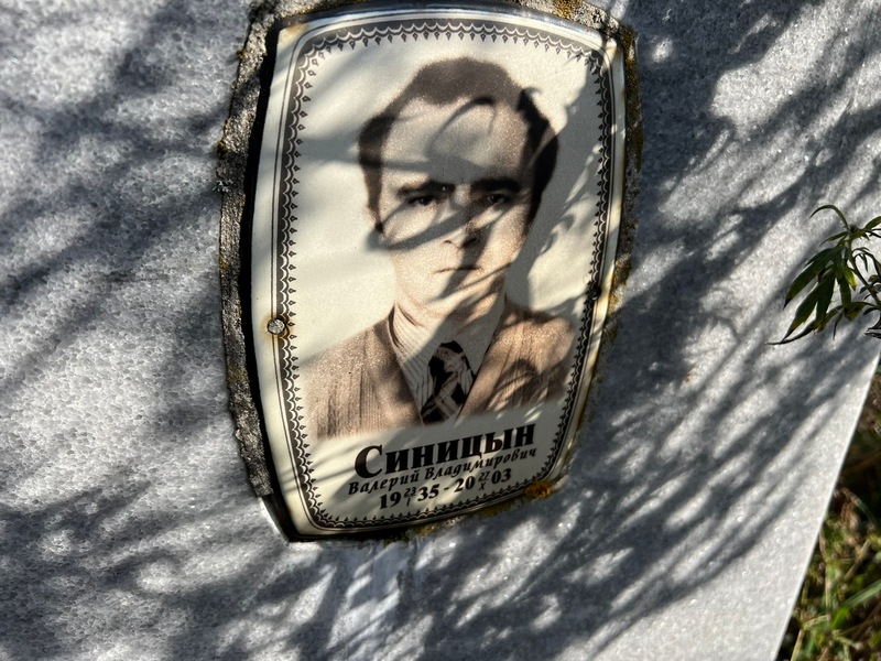 Синицын