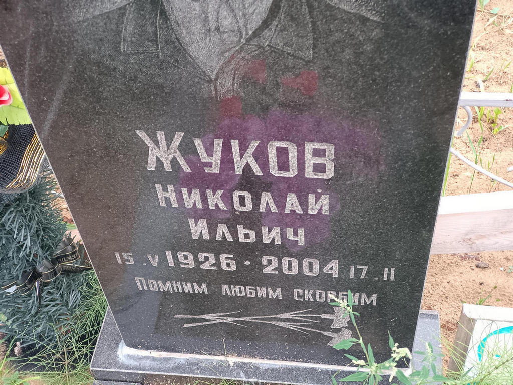 Жуков Николай Ильич