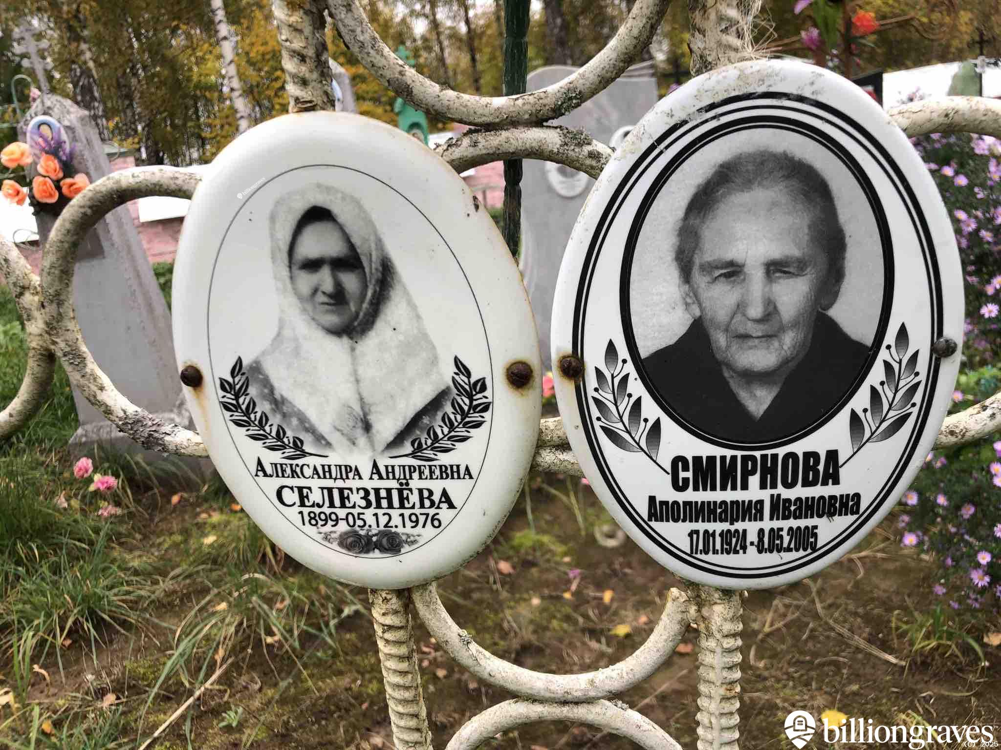 Селезнëва Александра Андреевна
