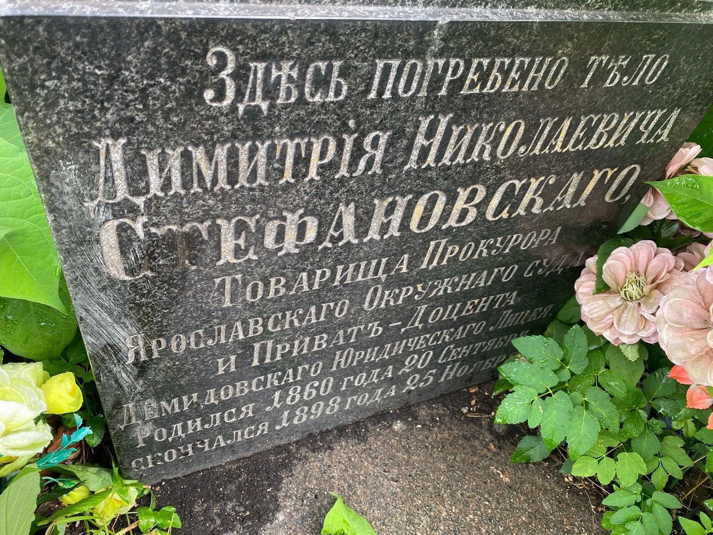Димитрий Стефановский Николаевич