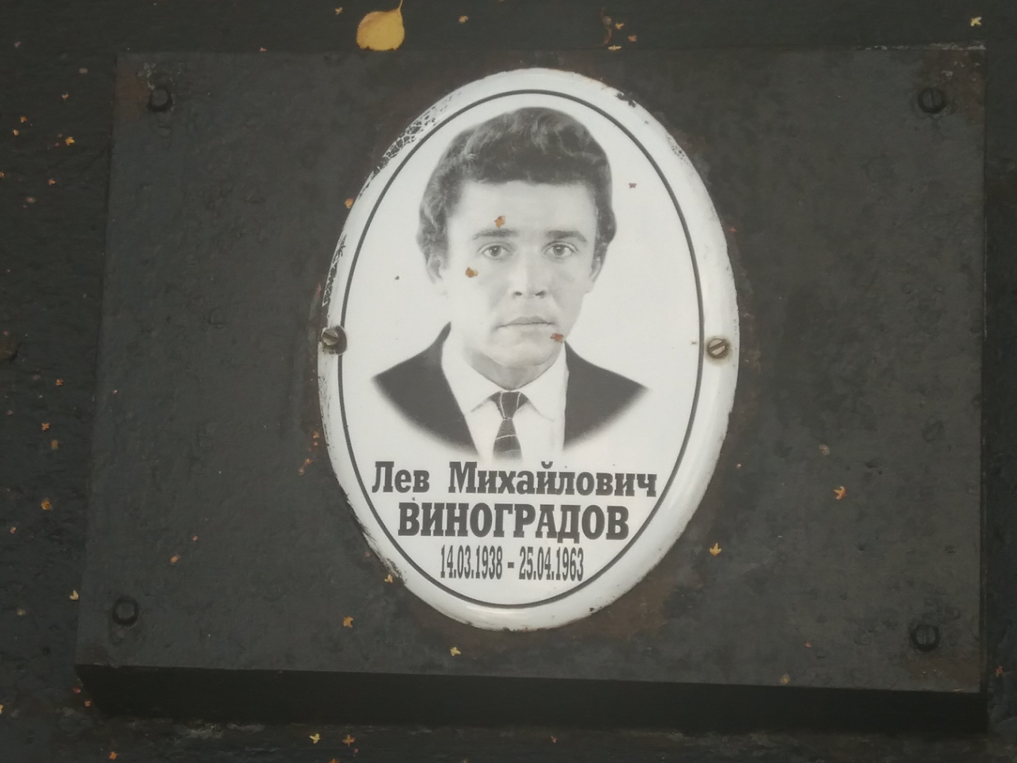 Виноградов Лев Михайлович