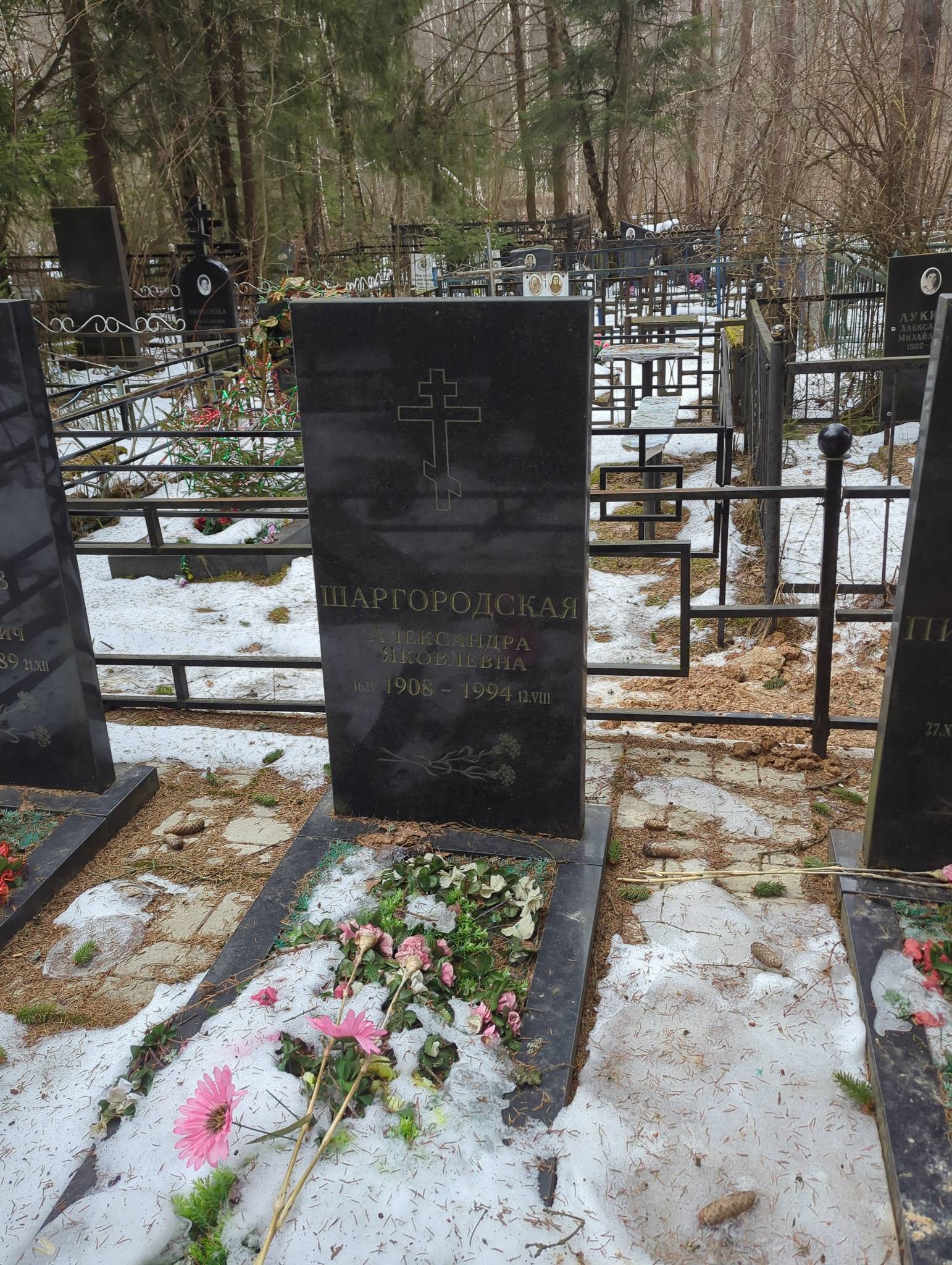 Шаргородская Александра Яковлевна