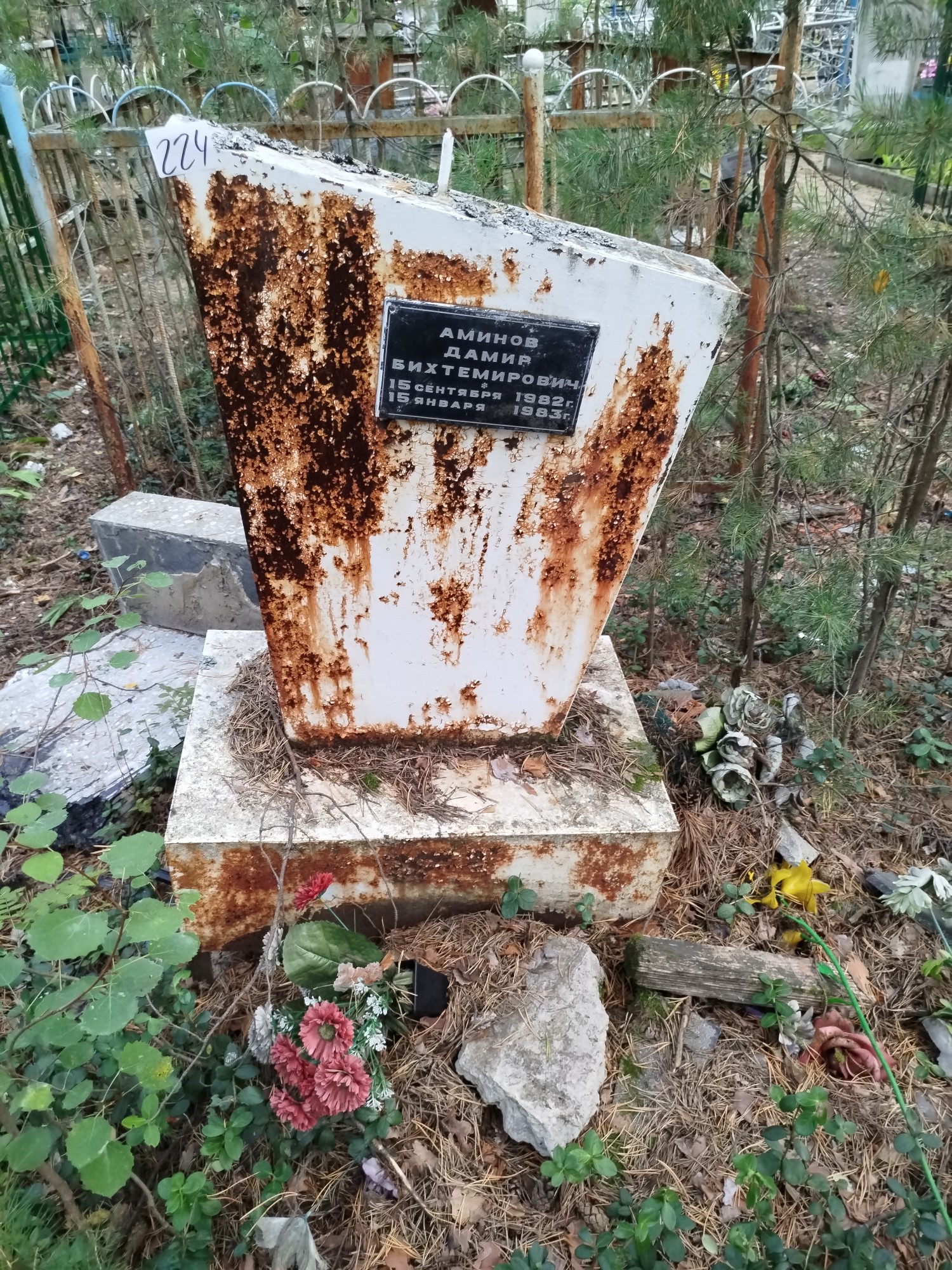 Аминов Дамир Бихтемирович