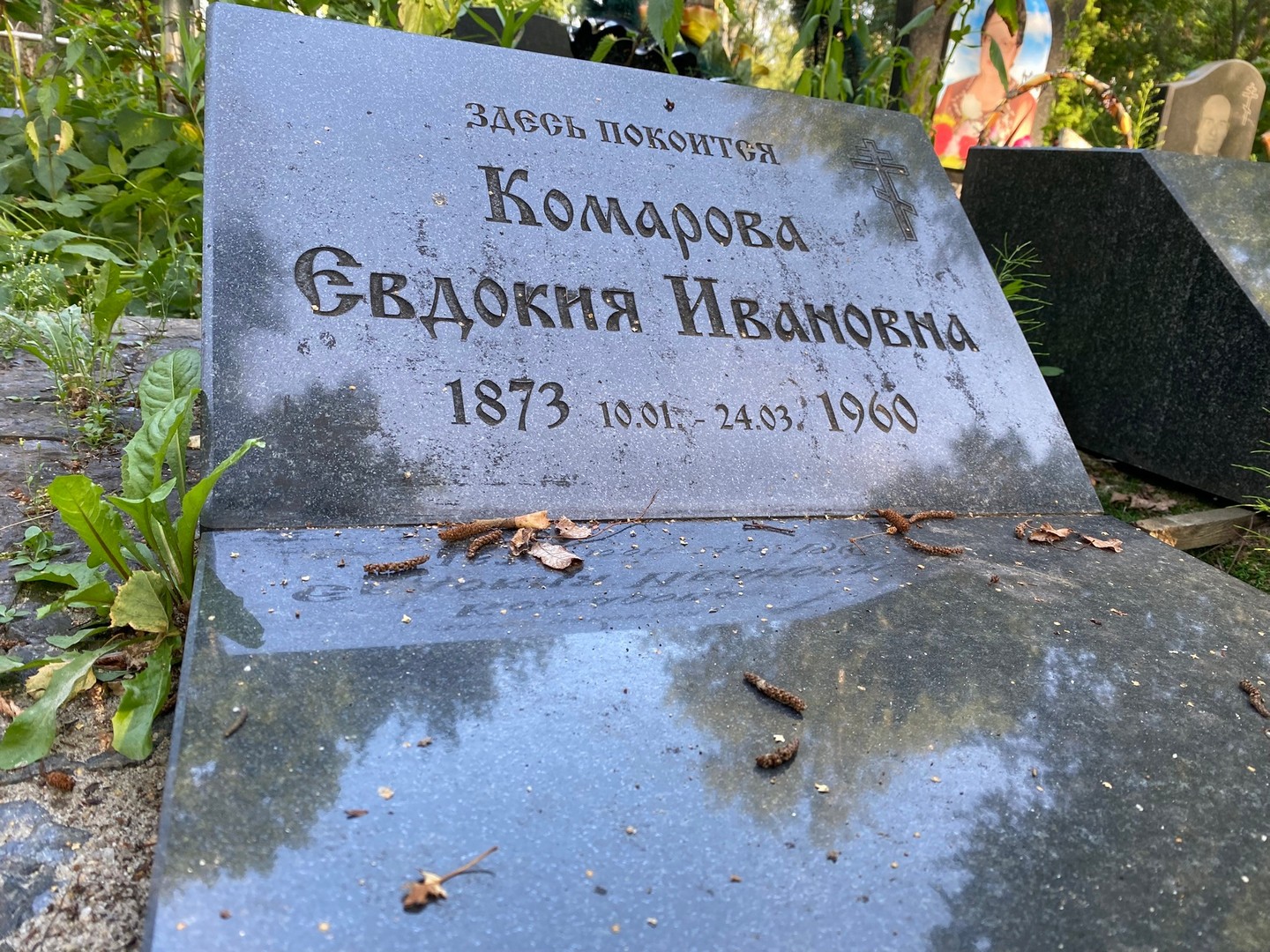 Комарова