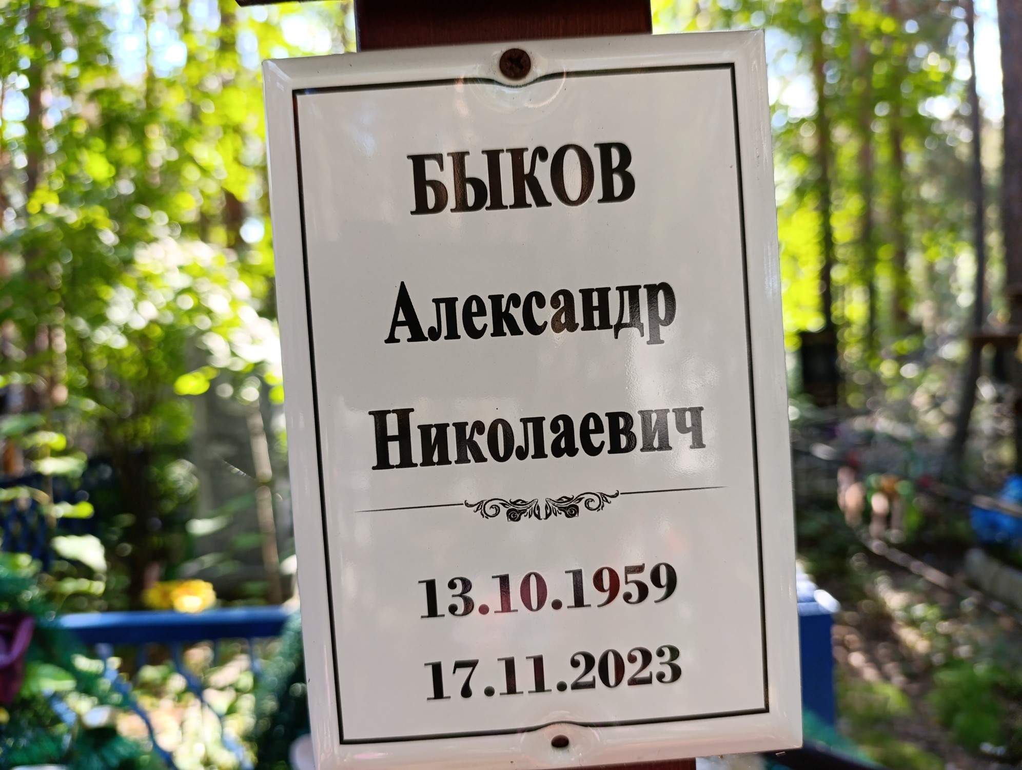 Быков Александр Николаевич