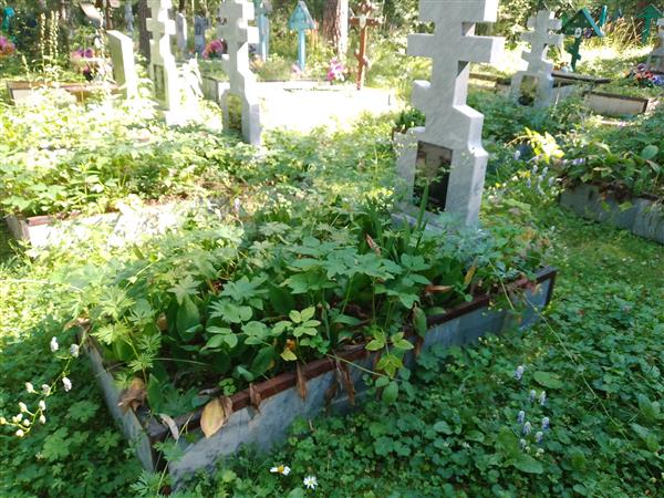Бастриков Василий Михайлович