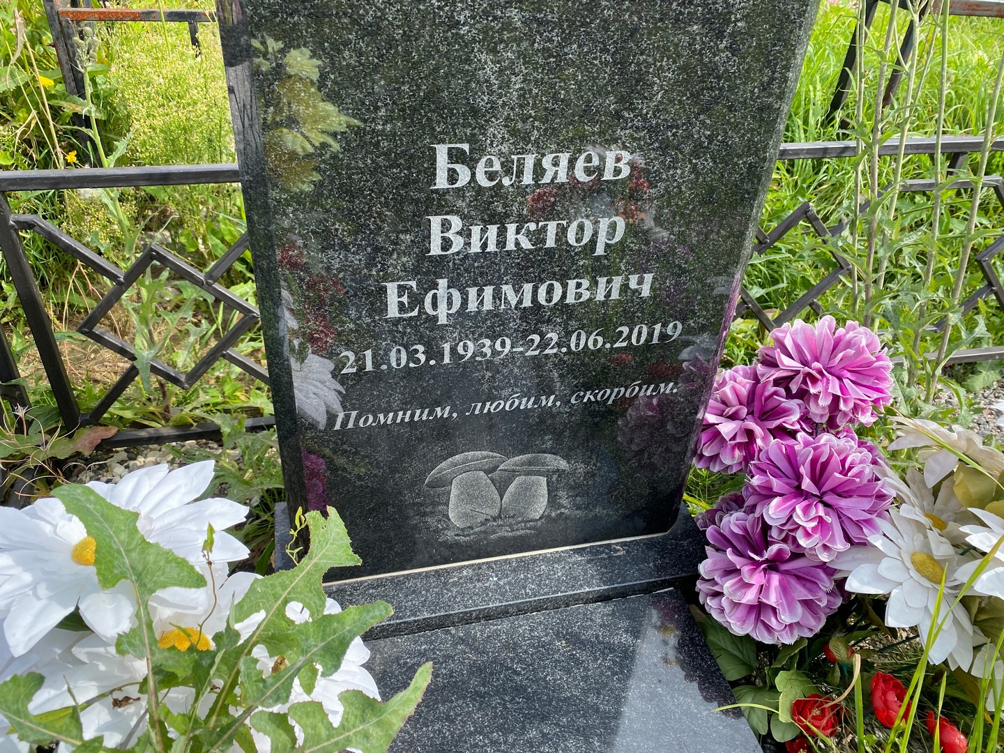 Беляев