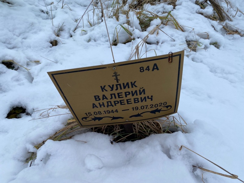 Кулик