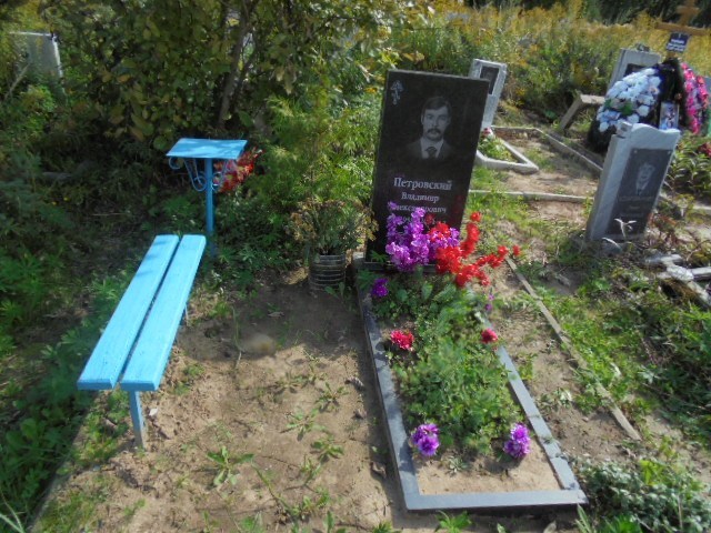Петровский Владимир Александрович
