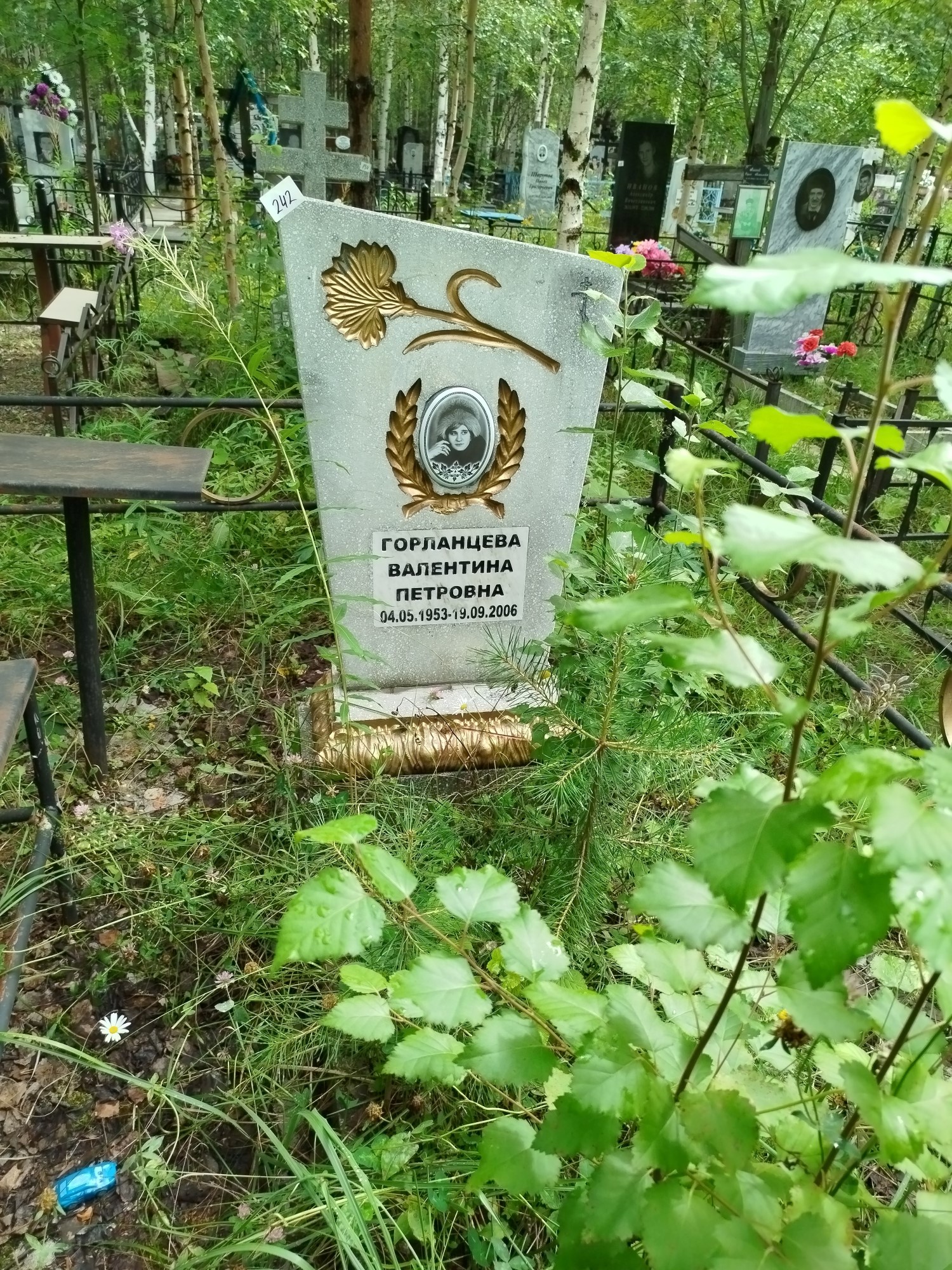 Горланцева Валентина Петровна