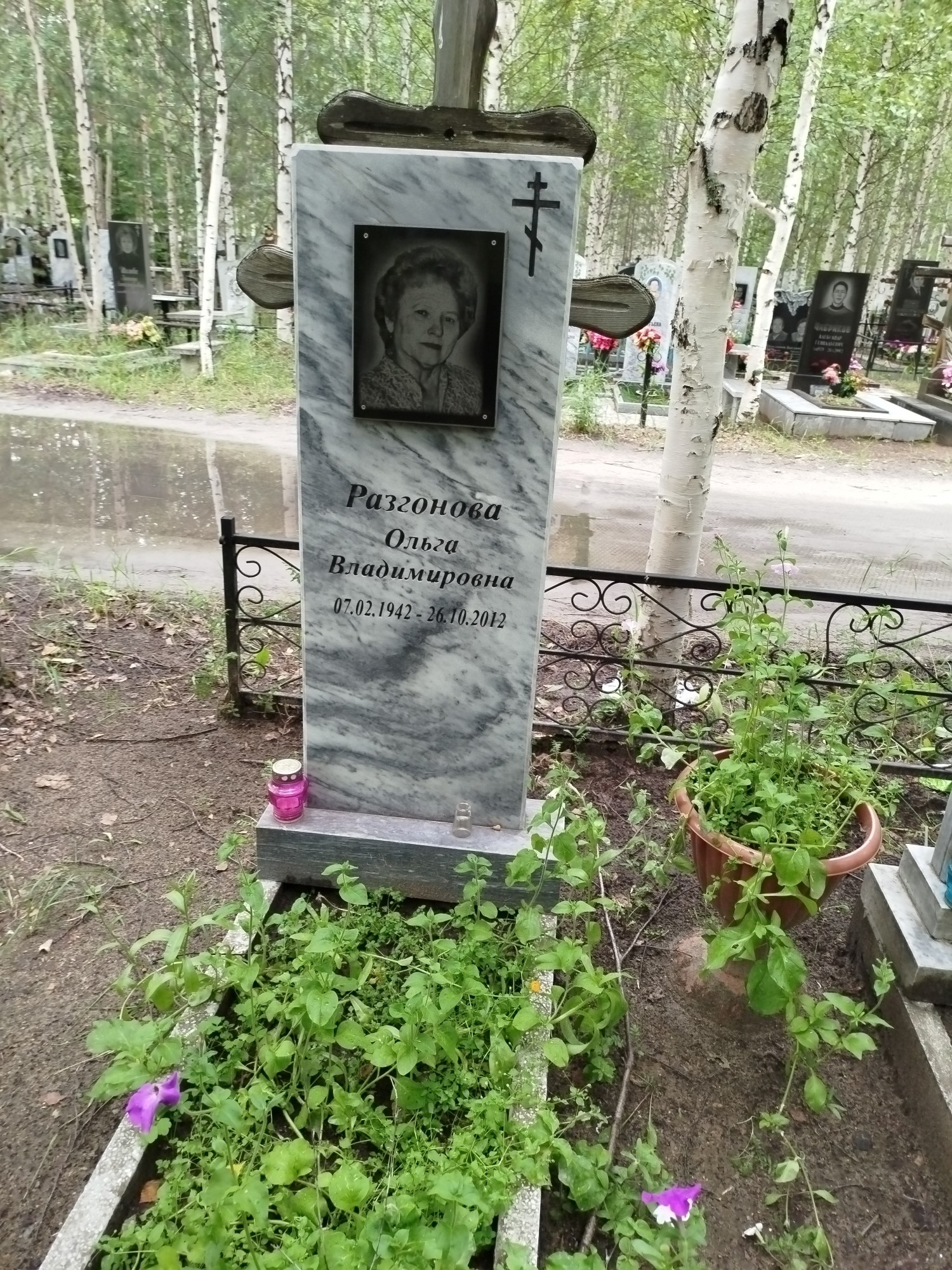 Разгонова Ольга Владимировна