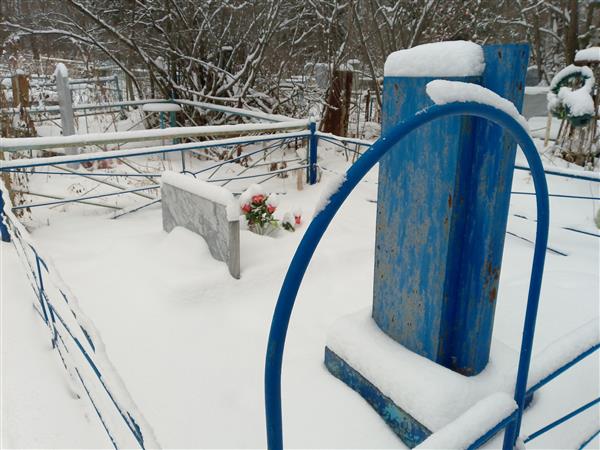 Малышевская Нина Ефимовна