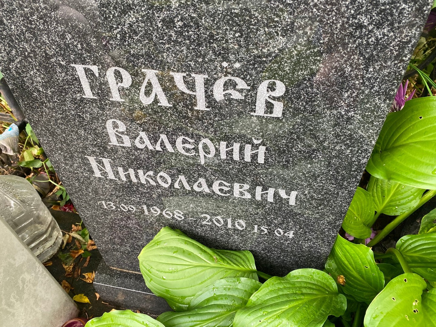 Грачев
