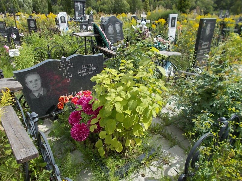 Шикин Леонид Дмитриевич