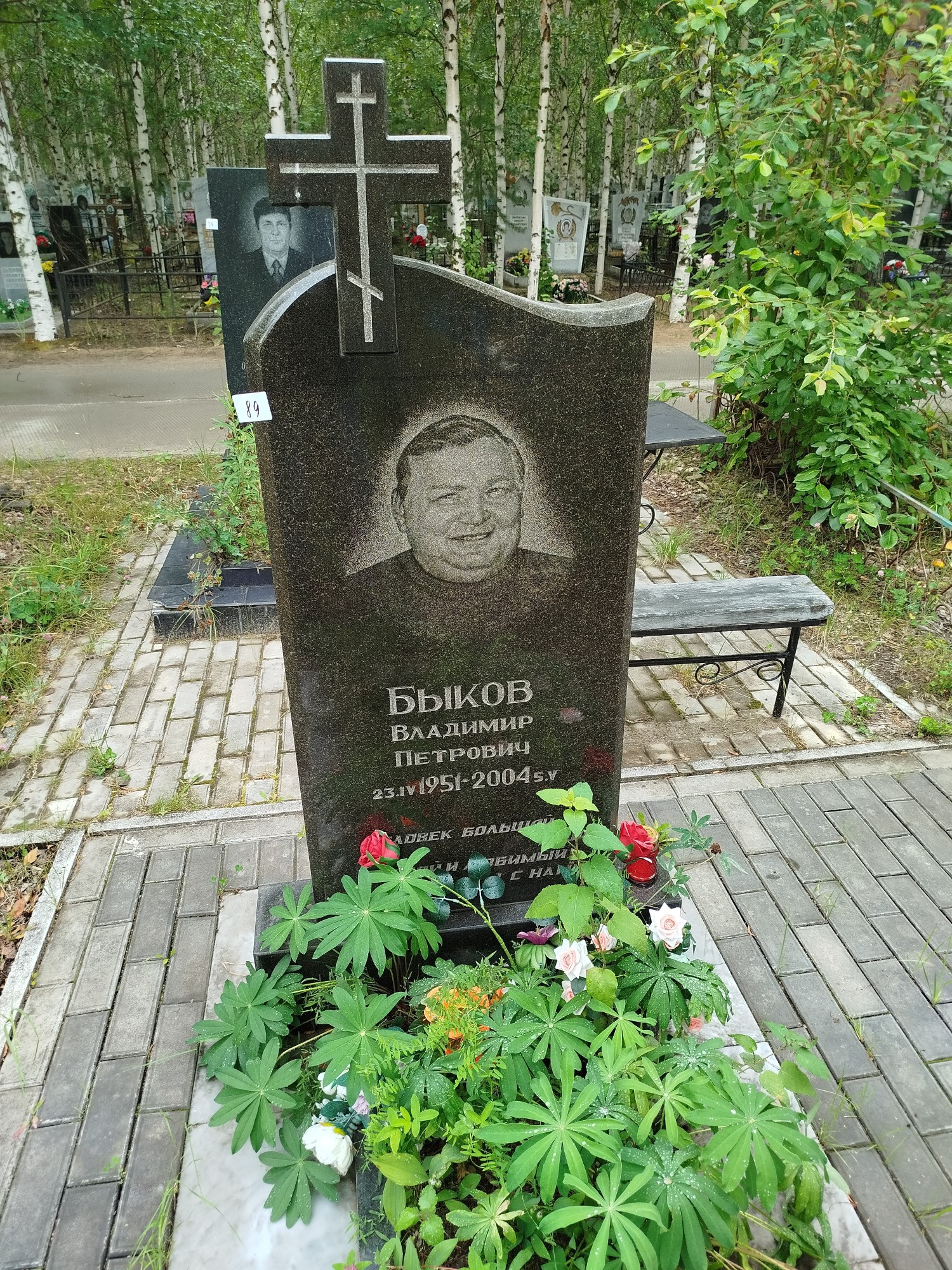 Быков Владимир Петрович