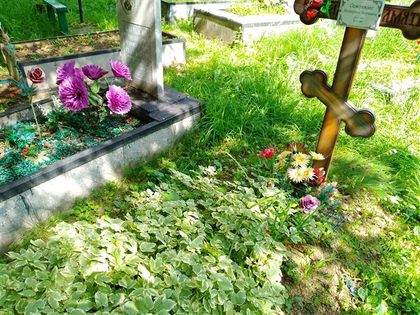Саморокова Екатерина Андреевна