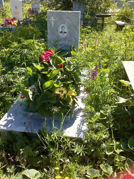 Лапина Марина Александровна
