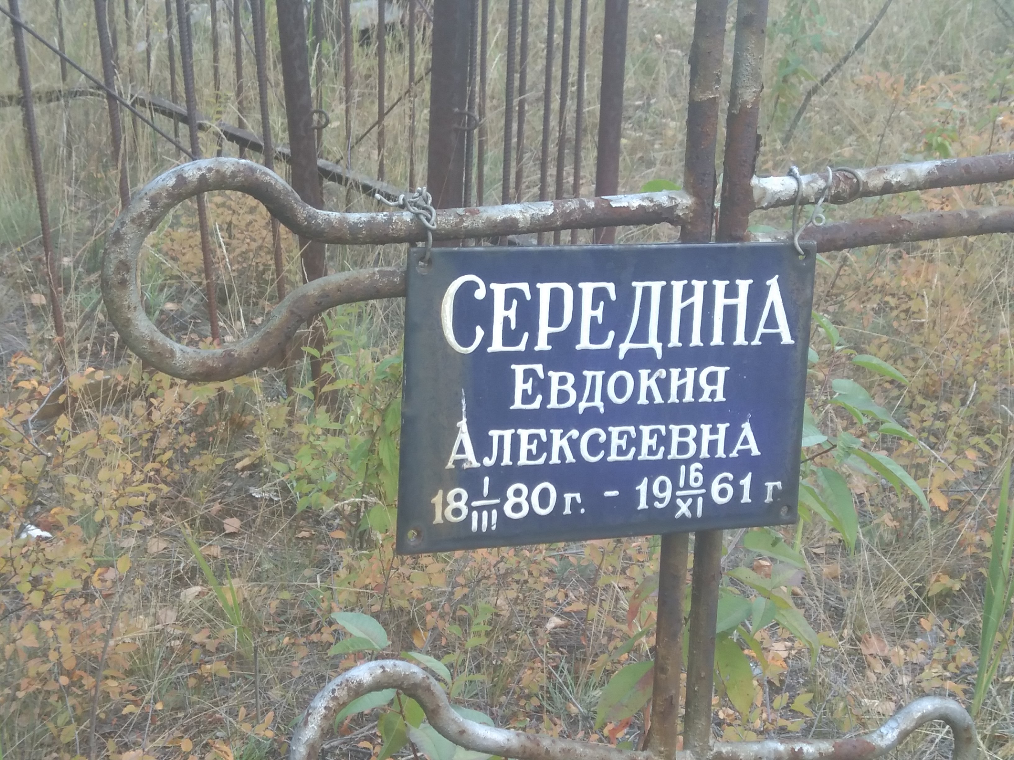 Середина Евдокия Алексеевна
