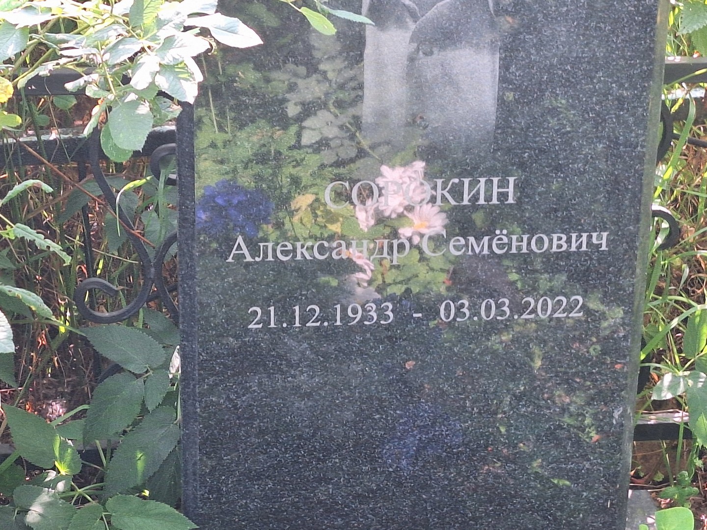 Сорокин