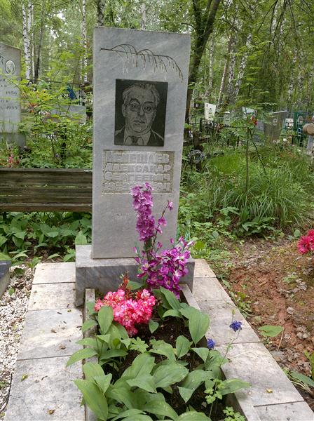 Немешаев Александр Сергеевич