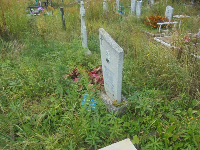 Жеденов Владимир Николаевич