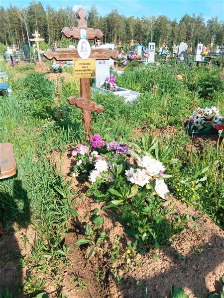 Степанова Ольга Александровна