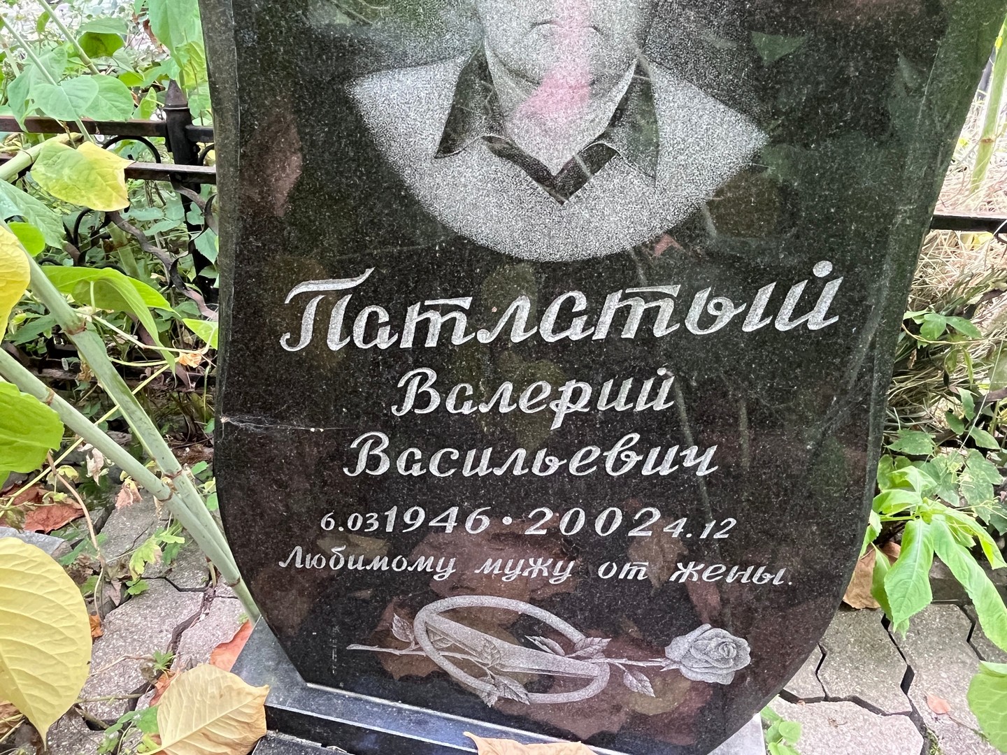 Патлатый