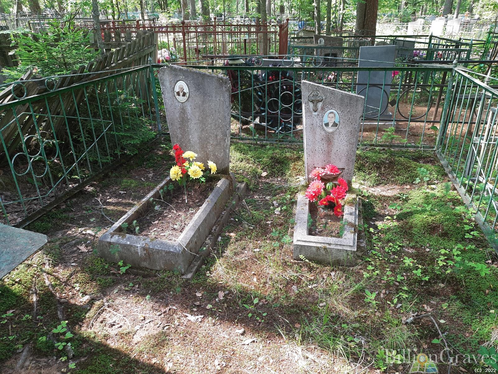 Шорохов Алексей Павлович
