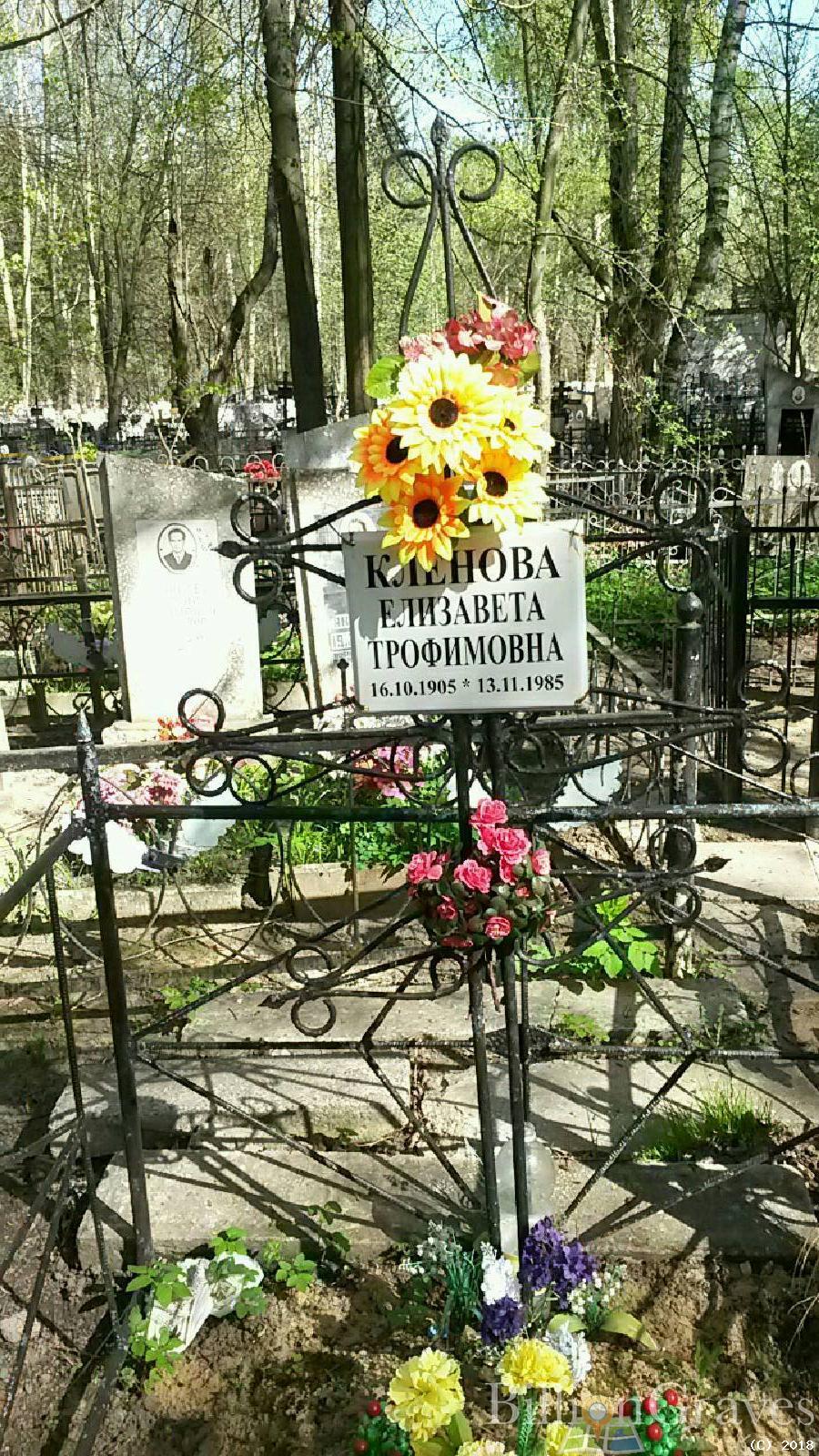 кленова елизавета трофимовна