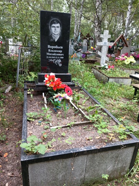 Воробьев Владимир Михайлович