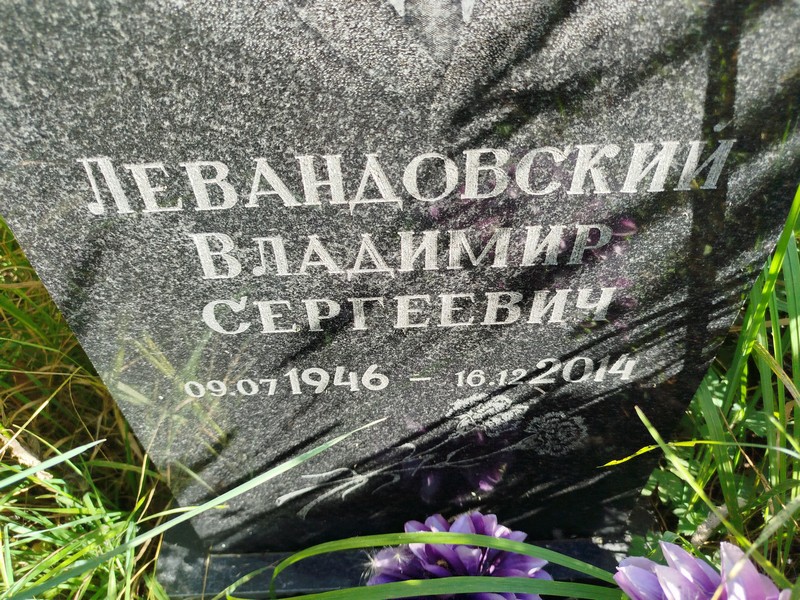 Левандовский