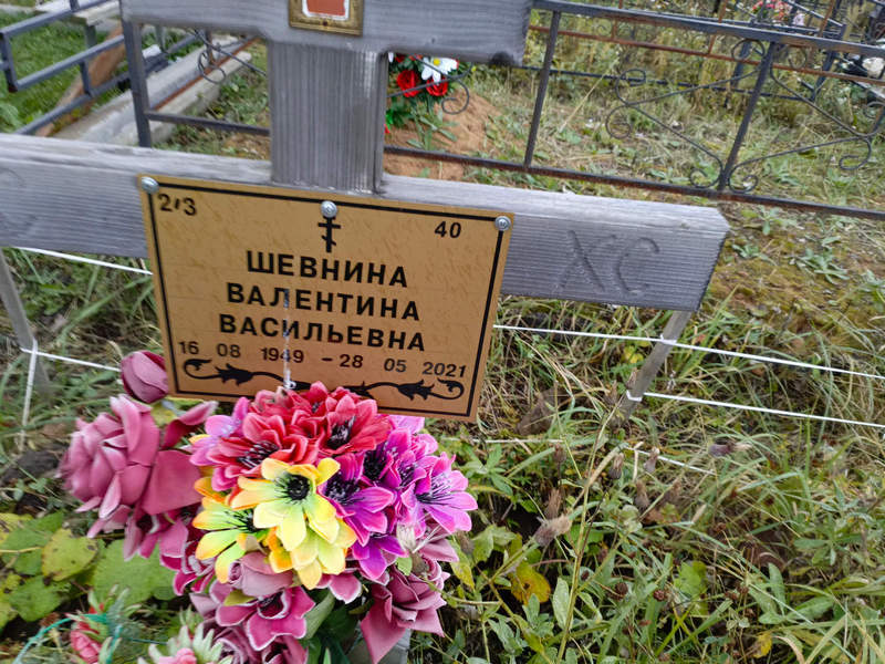 Шевнина