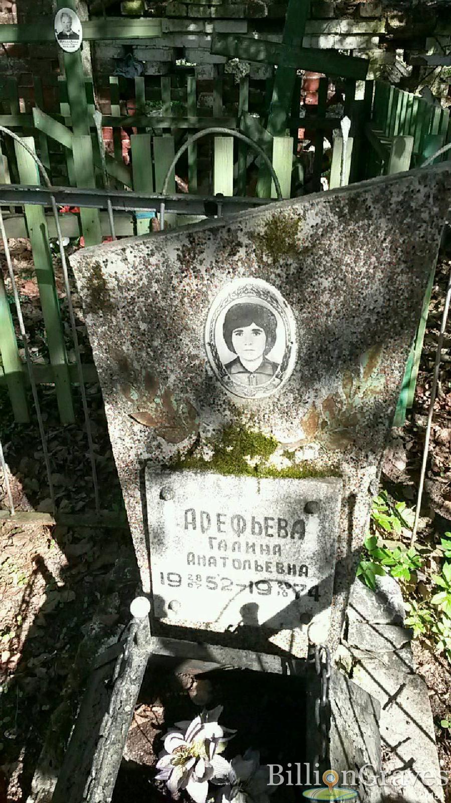 Арефьева Галина Анатольевна