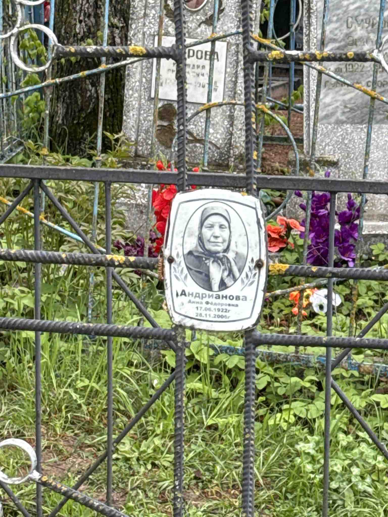 Андрианова Анна ФЕдоровна