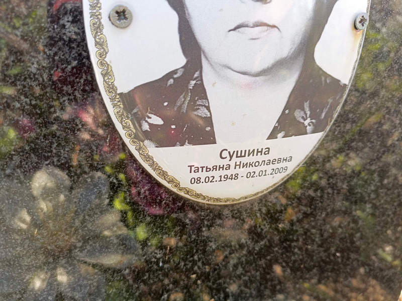 Сушина