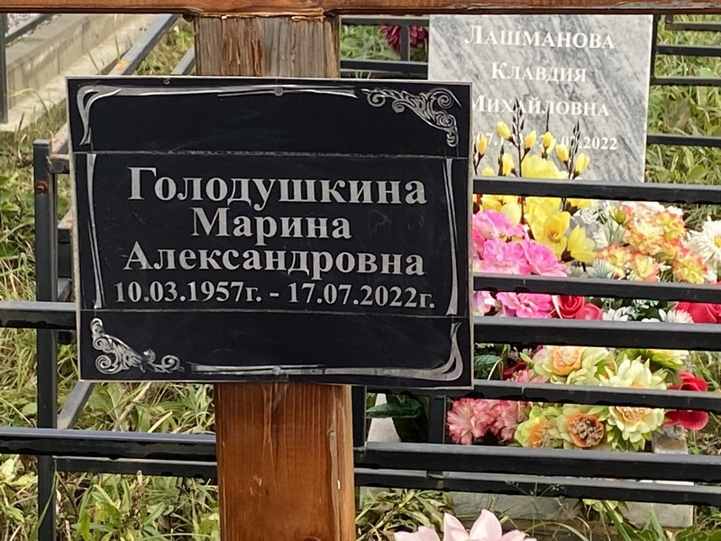 Голодушкина