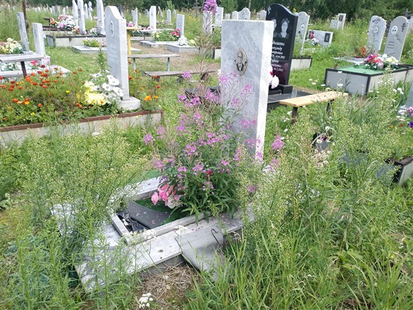 Шалин Павел Яковлевич