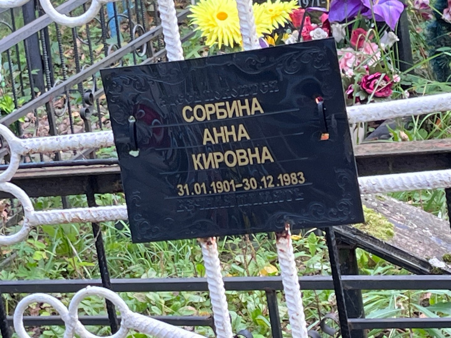 Сорбина