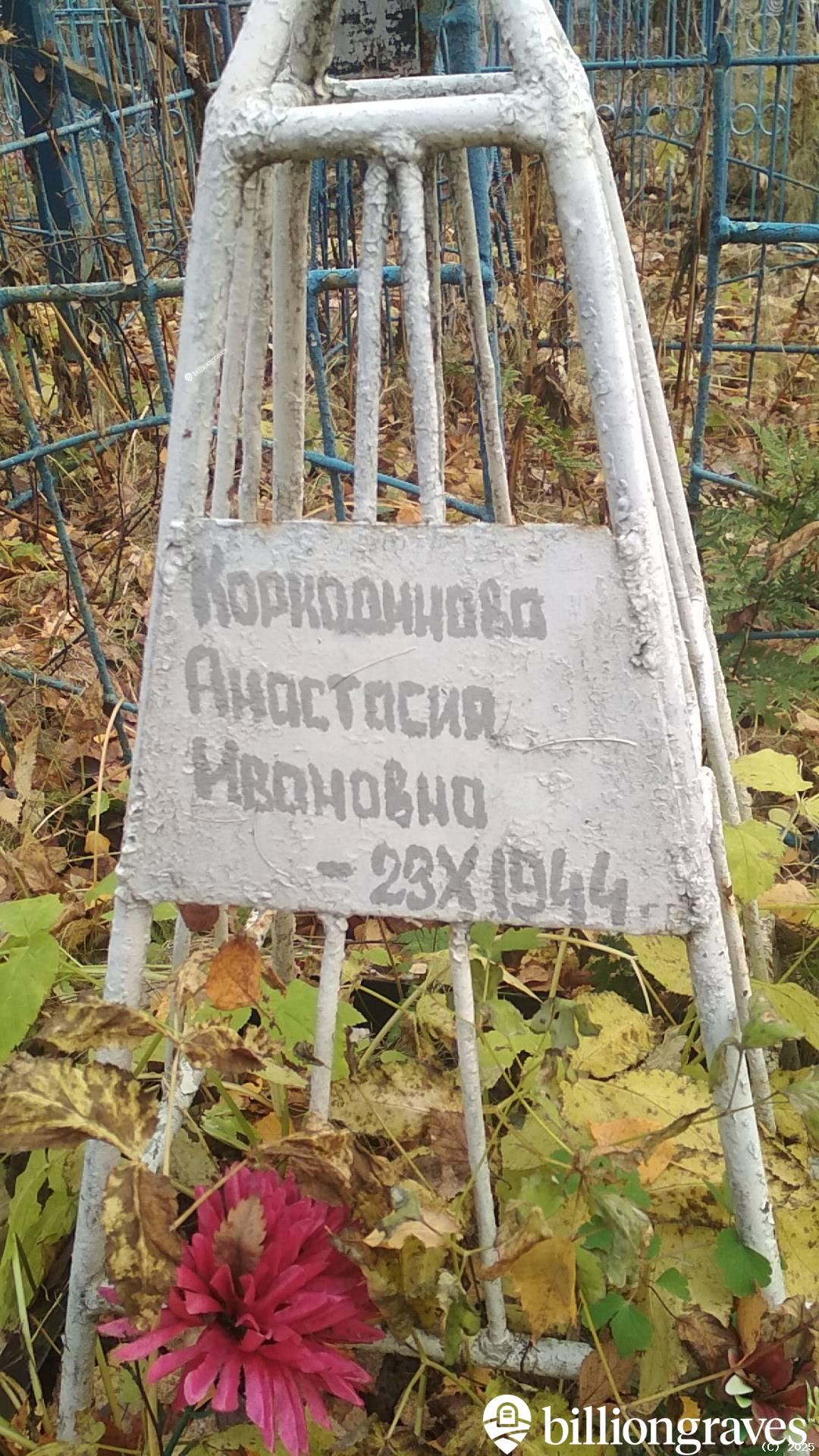 Коркодинова Анастасия Ивановна