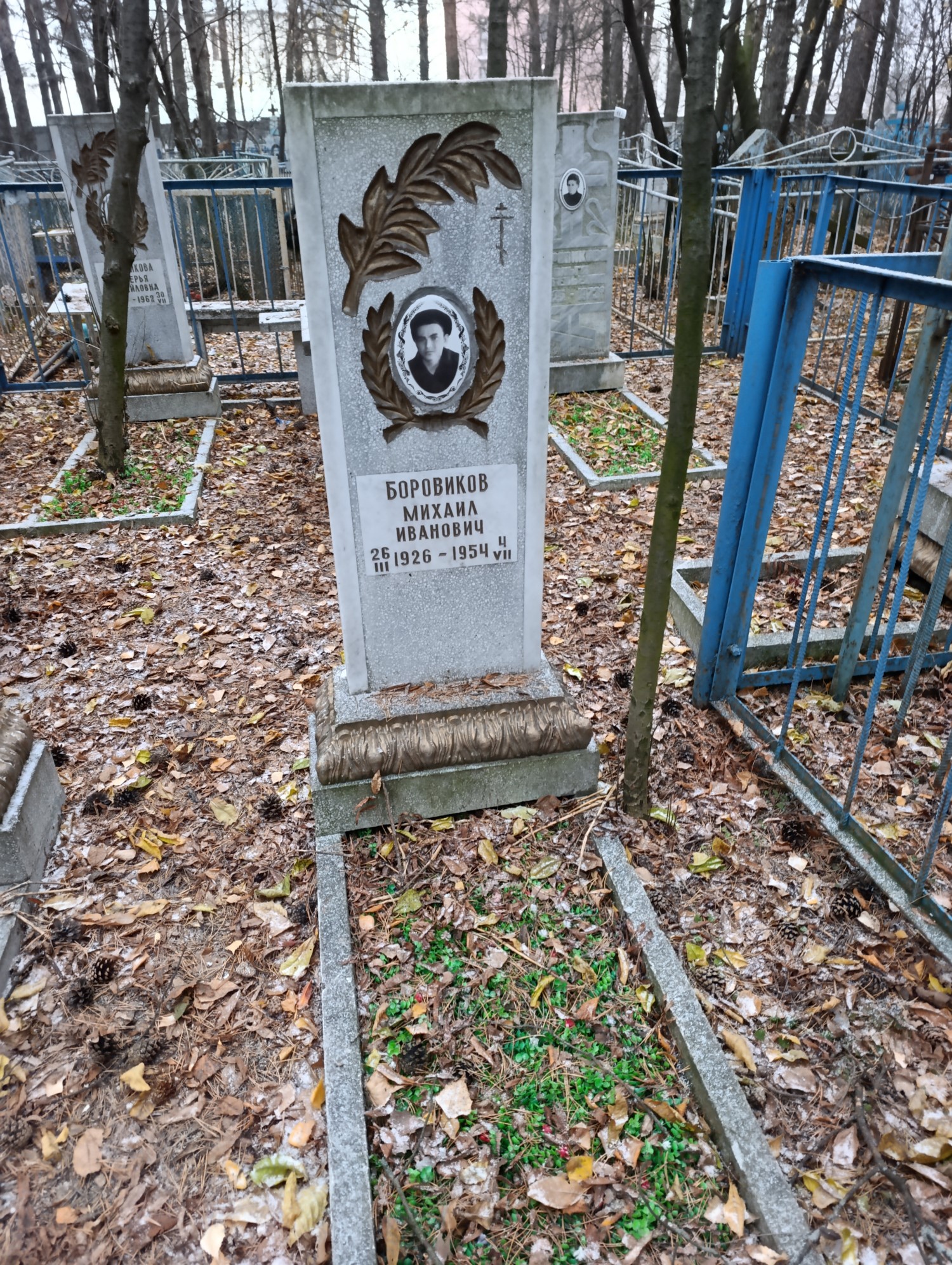 Боровиков Михаил Иванович