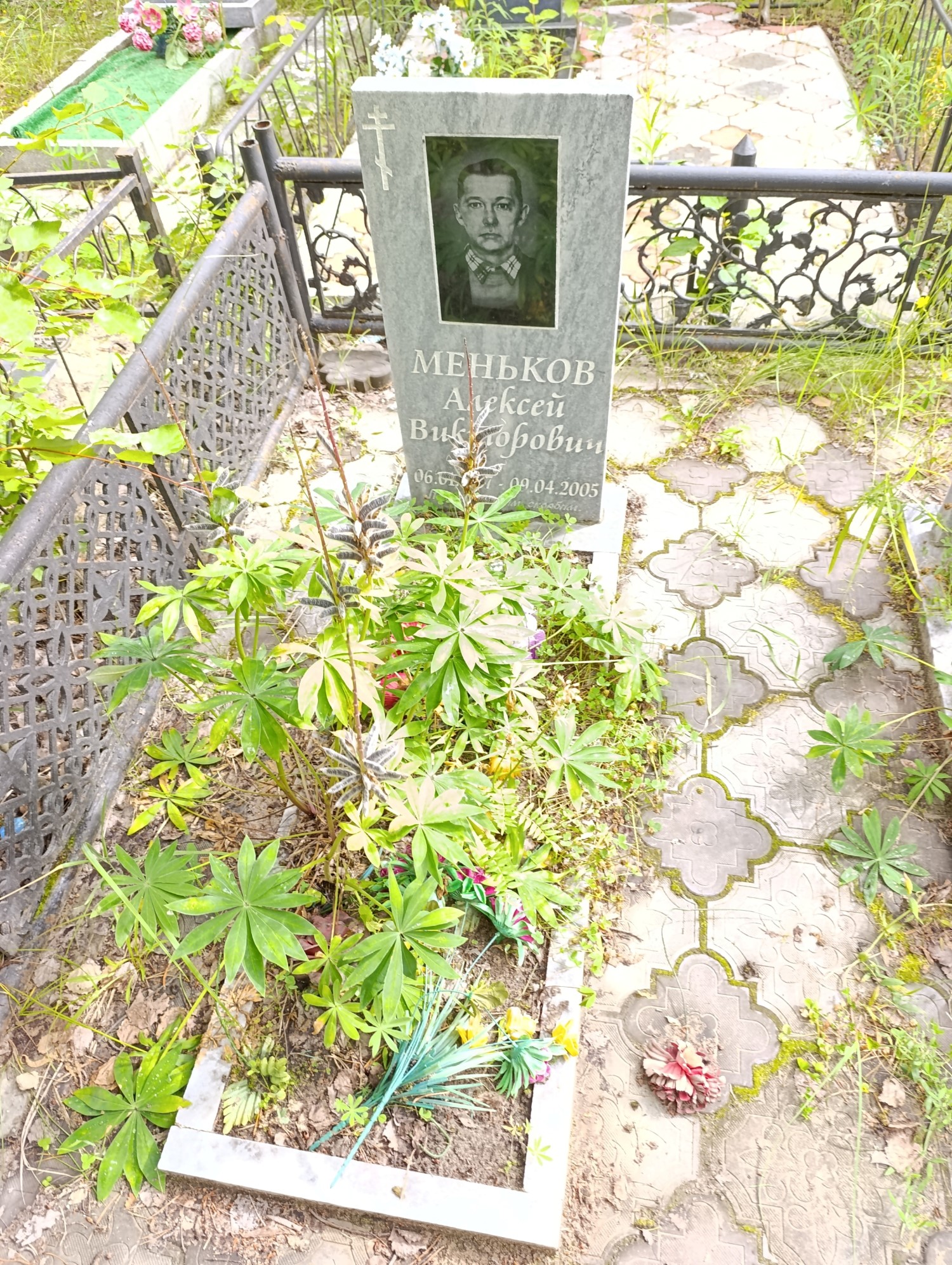 Меньков Алексей Викторович